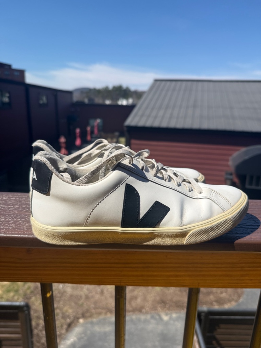 Veja White Sneakers with Black V Logo